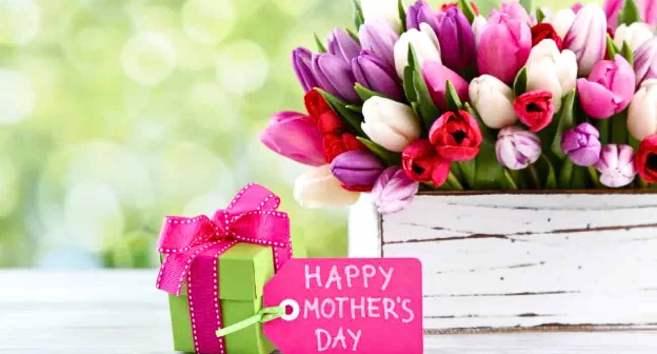 Flowers That Symbolizes Mother's Day Burst of Class