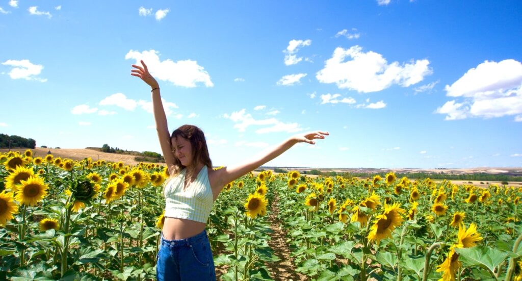 Our Favorite Flowers Of Summertime