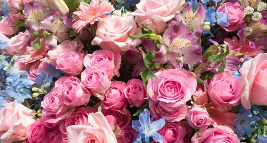 What Are The Meaning Of Flower Colors