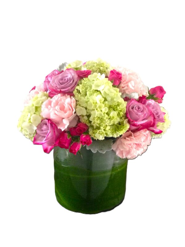 Joyous Blooms