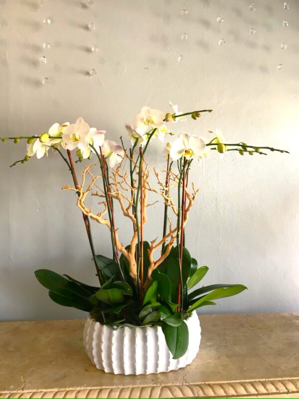 Orchid Centerpiece