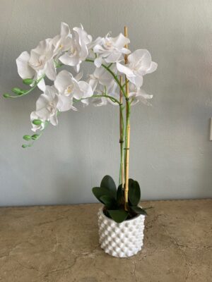 Faux Orchid Plant