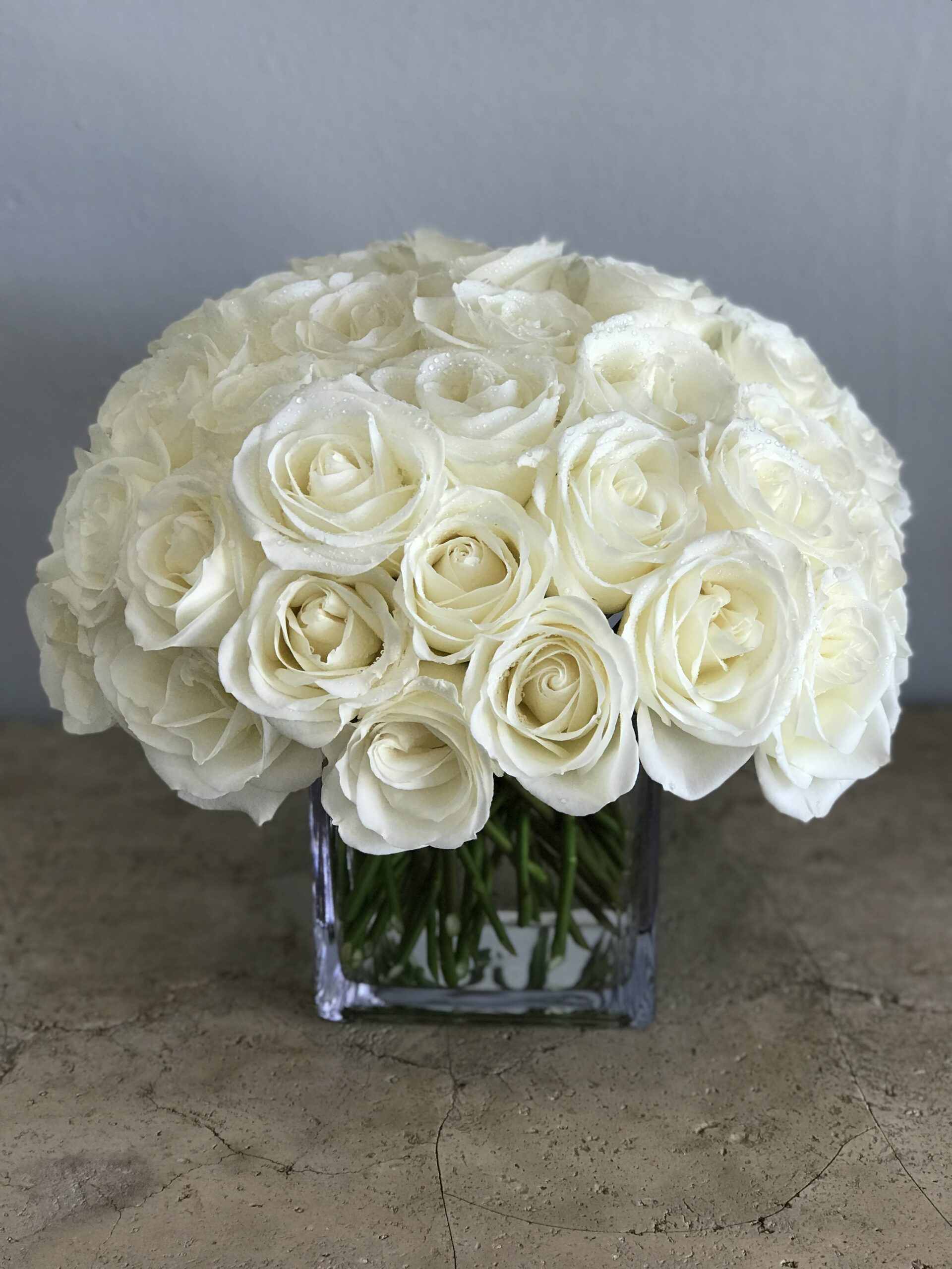 White Rose Ball