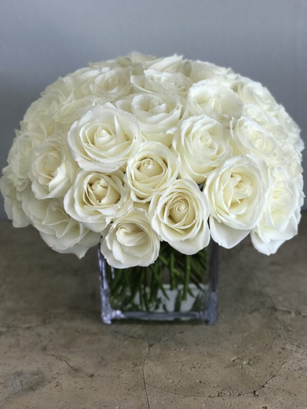 White Rose Ball - Image 2