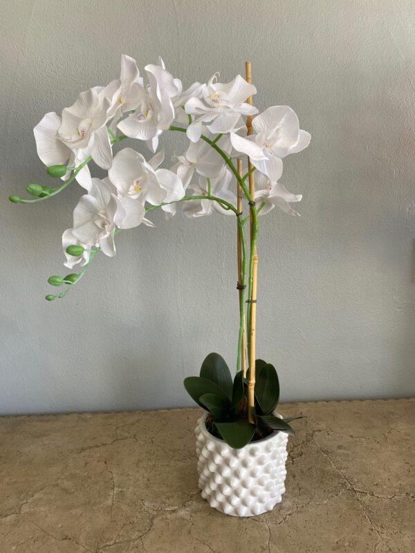 Faux Orchid Plant - Image 2