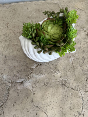 Shell Graden